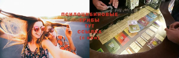 круглые Снежногорск