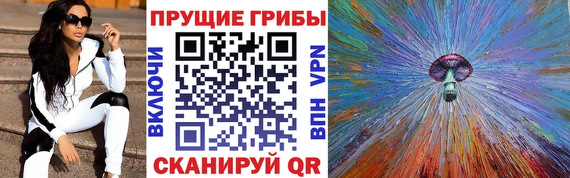 наркошоп  Красный Сулин  Галлюциногенные грибы Cubensis 